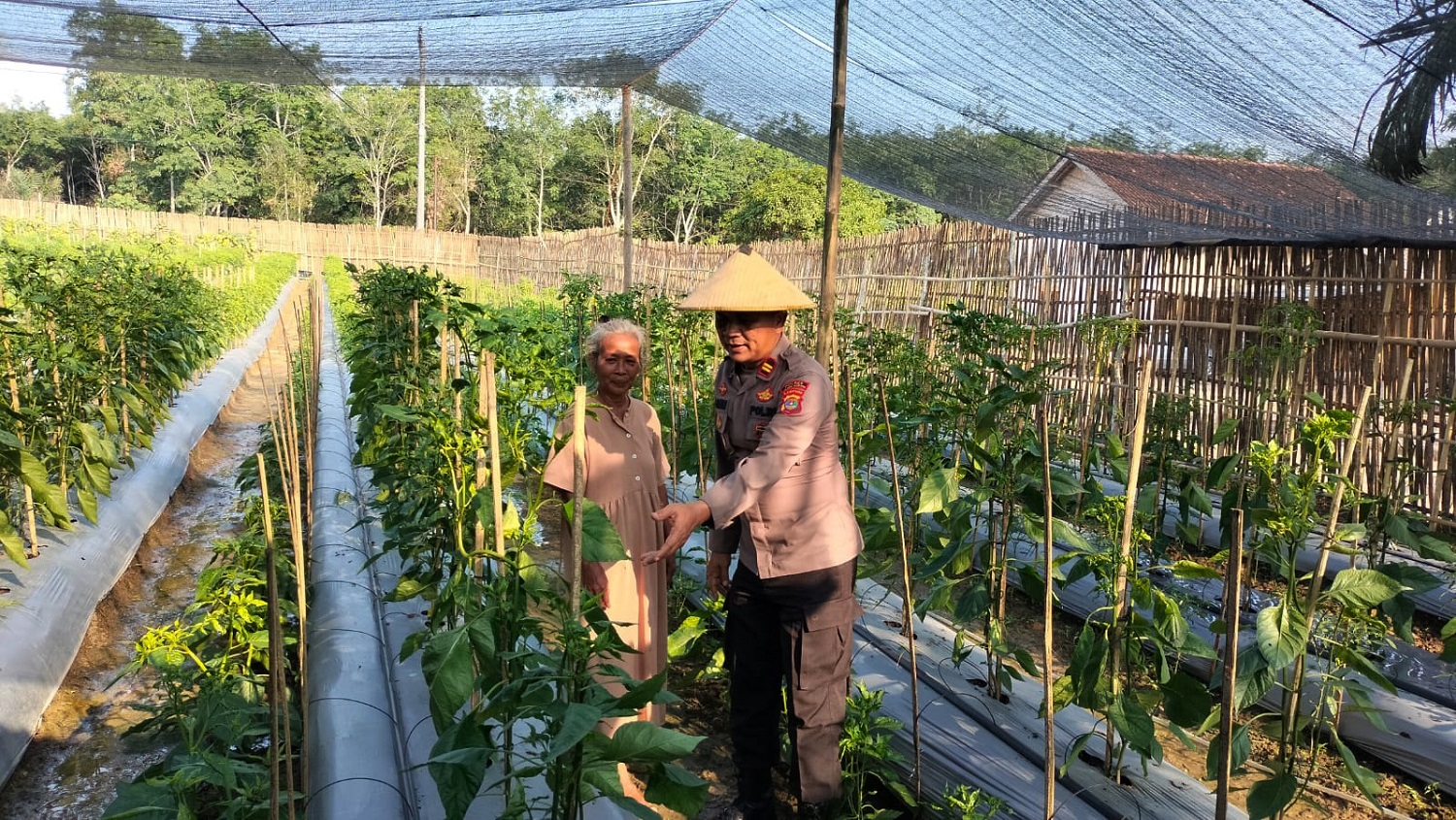 Cara Jitu Kapolsek Gedung Aji Sukseskan Program Ketahanan Pangan